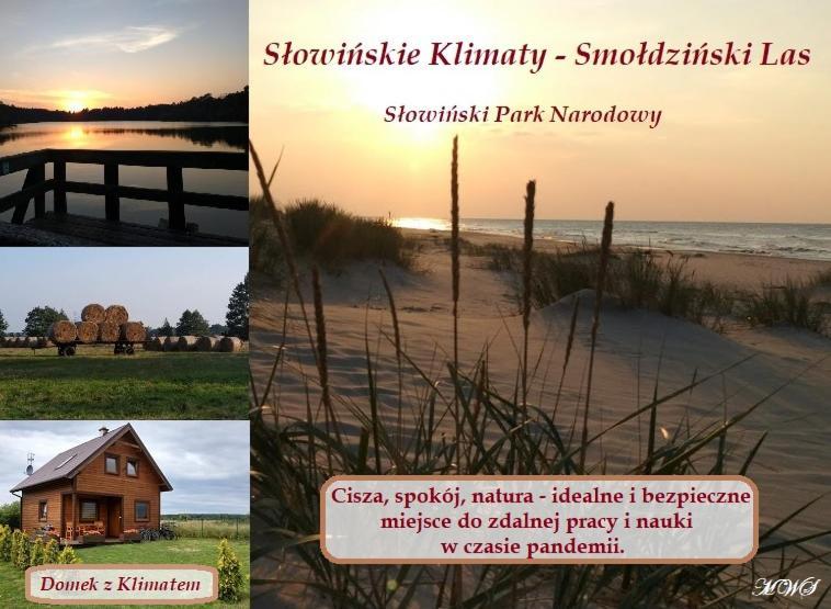 Domek Z Klimatem Smoldzinski Las Luaran gambar